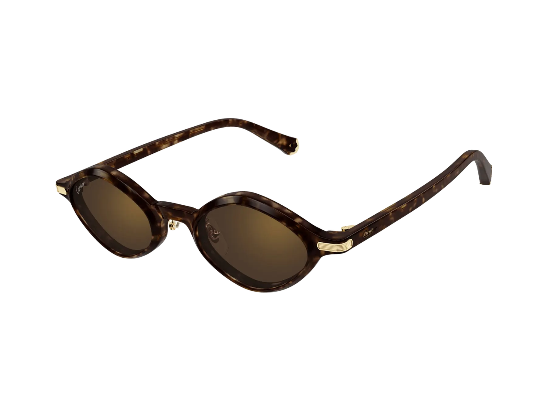 Cartier Première de Cartier CT0540S sunčane naočare, boja Dark Havana/Brown, pogled iz ugla