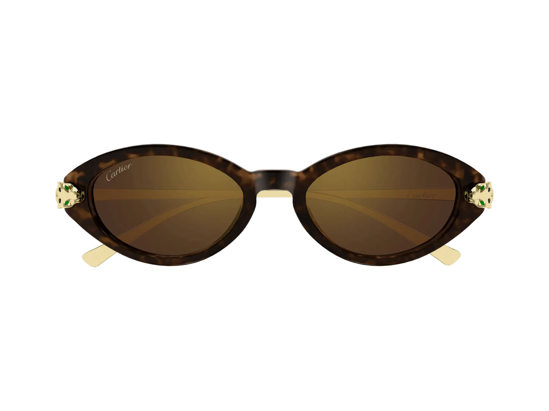 Cartier Panthère de Cartier CT0634S sunčane naočare, boja Havana/Gold, pogled spreda