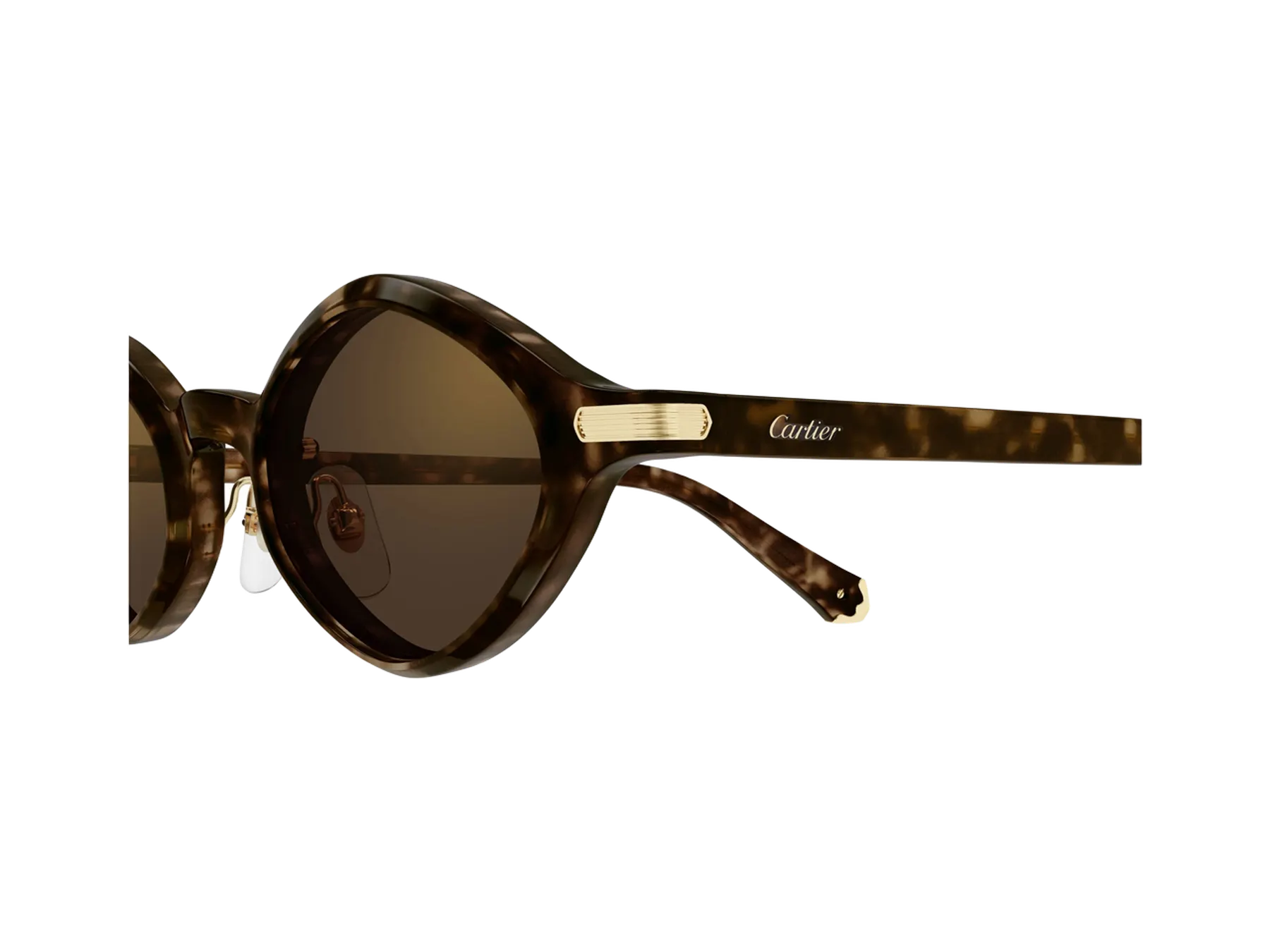 Cartier Première de Cartier CT0540S sunčane naočare, boja Dark Havana/Brown, detalj